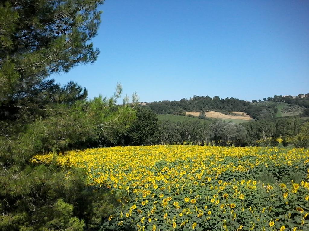 Bed And Breakfast Casale Isorella San Gemini Exterior foto