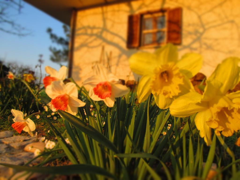 Bed And Breakfast Casale Isorella San Gemini Exterior foto