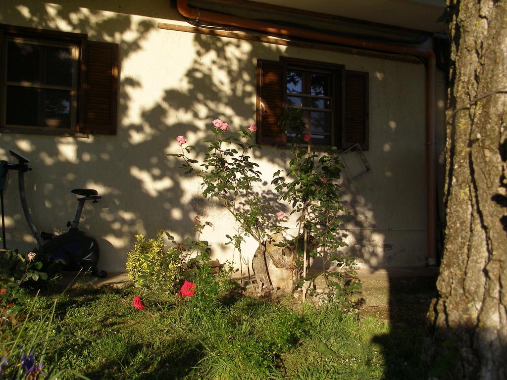 Bed And Breakfast Casale Isorella San Gemini Exterior foto