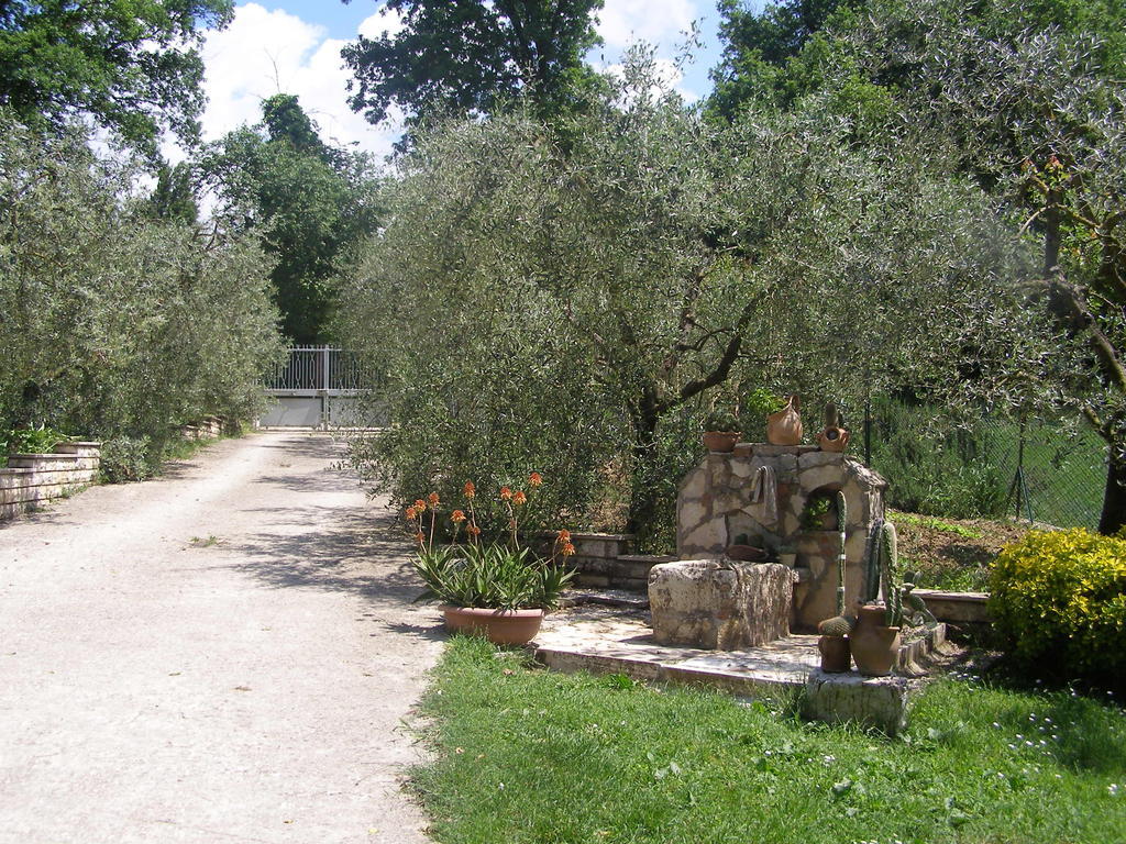 Bed And Breakfast Casale Isorella San Gemini Exterior foto