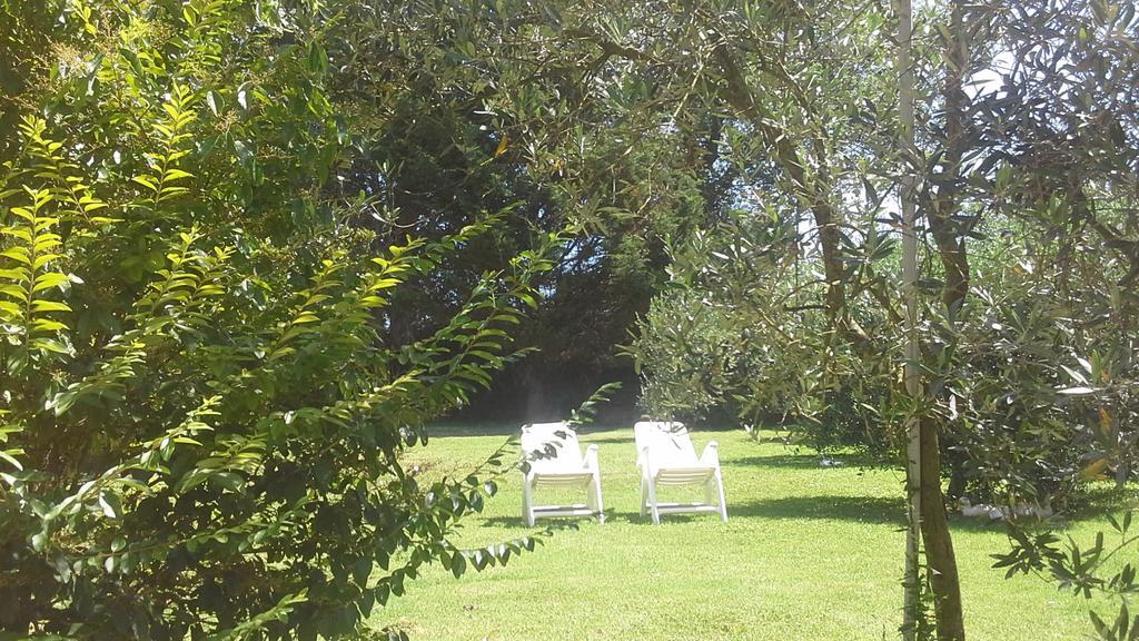 Bed And Breakfast Casale Isorella San Gemini Exterior foto