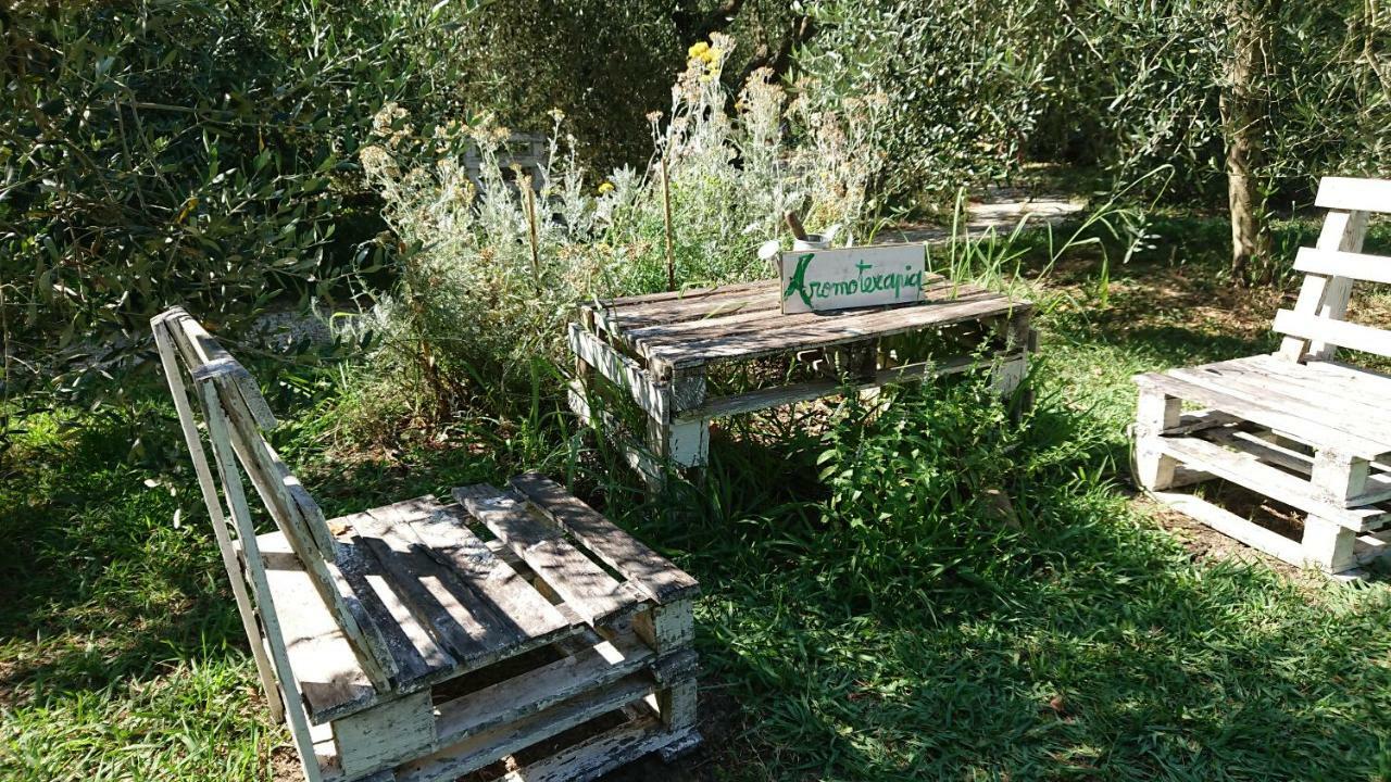 Bed And Breakfast Casale Isorella San Gemini Exterior foto