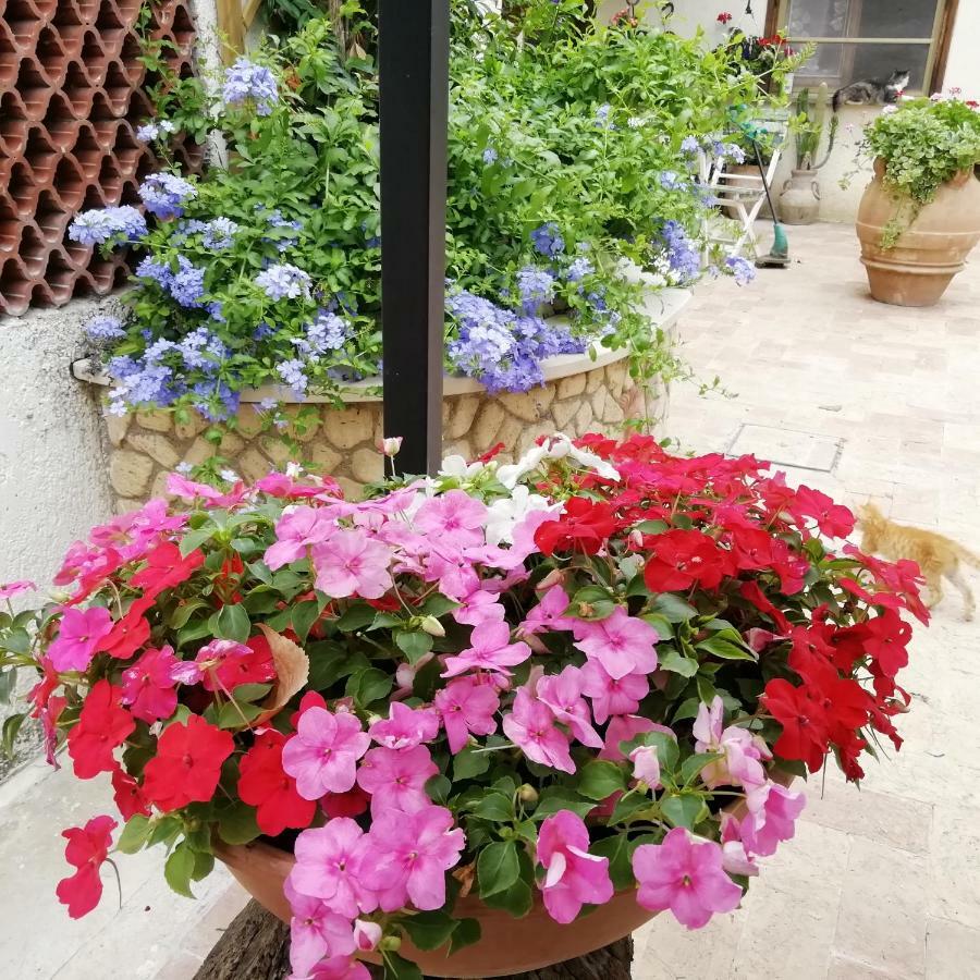 Bed And Breakfast Casale Isorella San Gemini Exterior foto